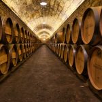 A picturesque wine cellar in Elciego, Spain, showcasing rows of wooden barrels under arching stone ceilings.